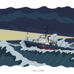 Illustration de l'Abeille Flandre / Abeille Languedoc dans la nuit